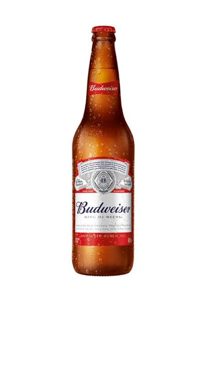 Cerveja Budweiser 600ml